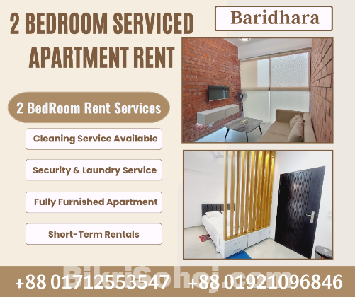 Furnished 2 Bedroom Studio Apartment RENT in Baridhara